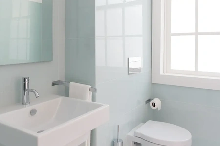 toilet cleaner 450x300